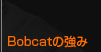 Bobcatの強み