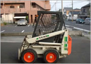 日本のボブキャット