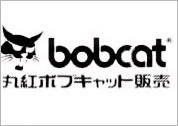 日本のボブキャット