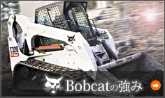 Bobcat�̋���